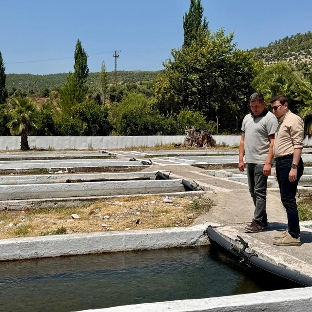 Kaymakam Sözen, tarım müdürlüğü ve su ürünleri işletmesinde incelemelerde b...