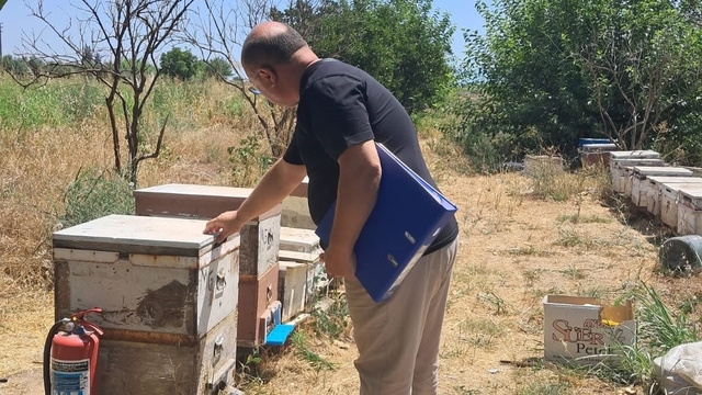 Köşk'te arılı kovan tespit çalışmaları sürüyor