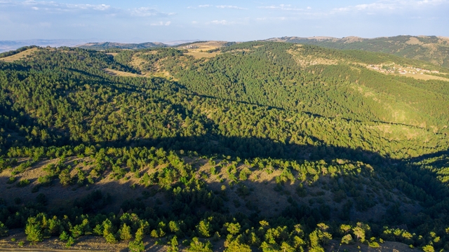 Sivas'ta ormanlık alanlara giriş yasaklandı