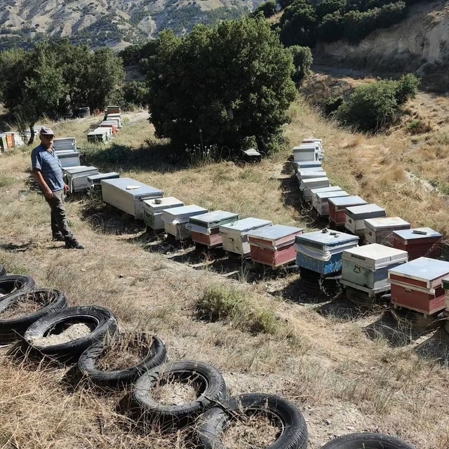 Burdur'da arılı kovanlar denetleniyor