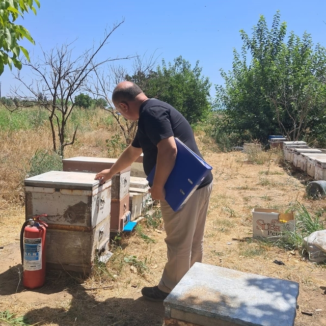 Köşk'te arılı kovan tespit çalışmaları sürüyor