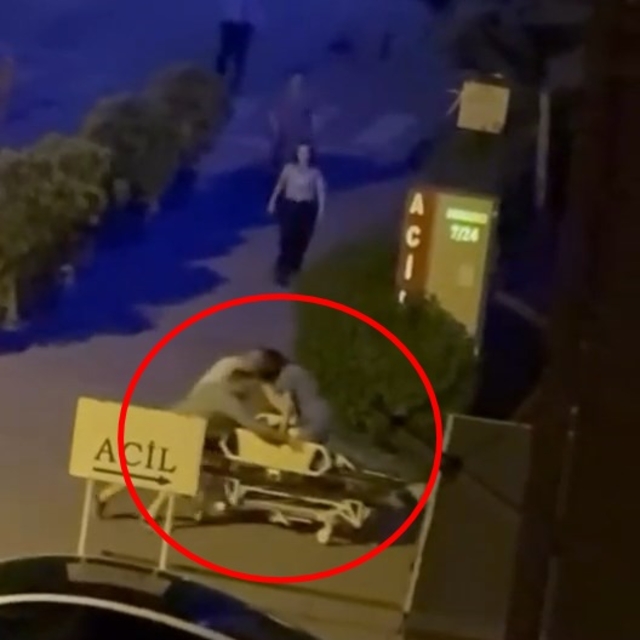 Otomobilin çarptığı yayanın duran kalbi, kalp masajıyla yeniden çalıştırıld...