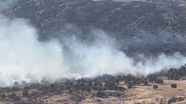 Adıyaman'da ormanlık alanda yangın