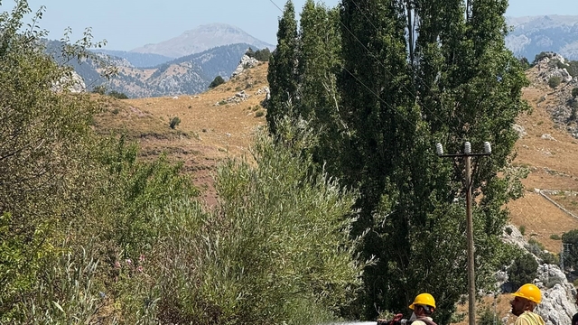 Alanya'da otluk alanda çıkan yangın büyümeden söndürüldü