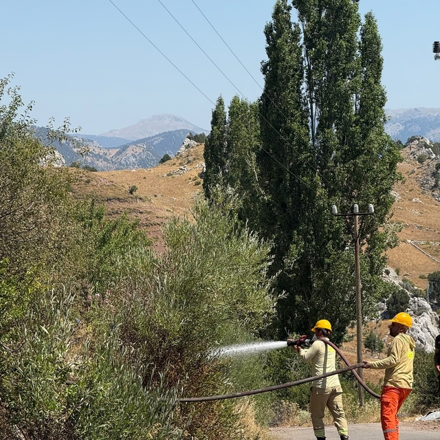 Alanya'da otluk alanda çıkan yangın büyümeden söndürüldü