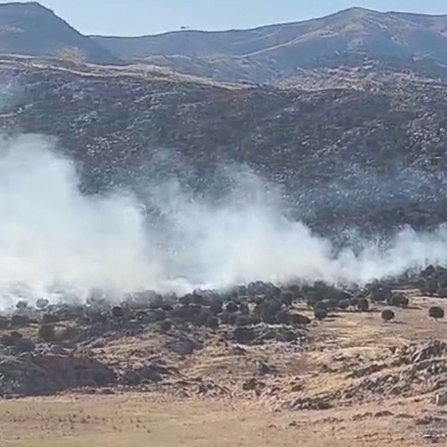 Adıyaman'da ormanlık alanda yangın