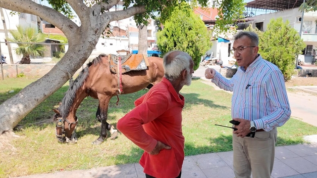 Mersin'de at arabasını çekerken bitkin düşen at korumaya alındı