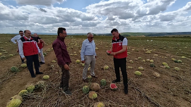 Tekirdağ'da doludan zarar gören tarım arazilerinde hasar tespit çalışmaları sürüyor
