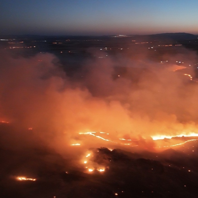 Adıyaman'da ormanlık alanda yangın