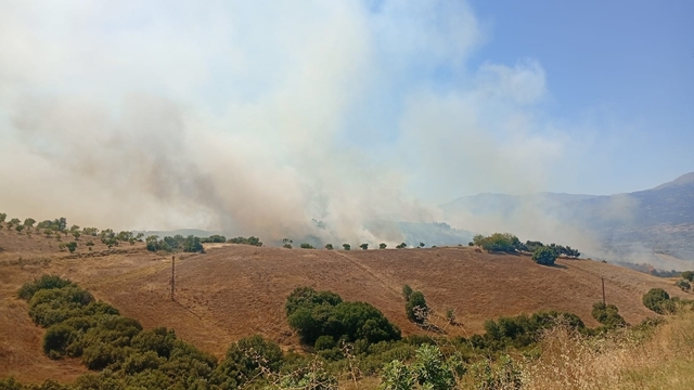 İzmir'de arazide çıkan yangın kontrol altına alındı