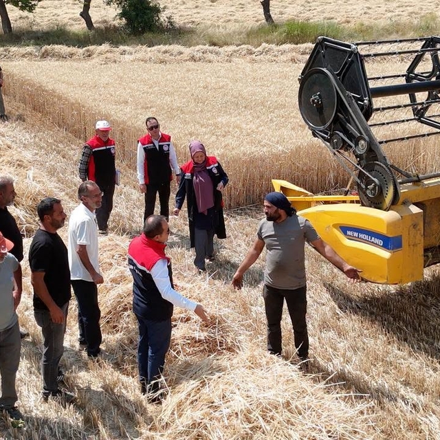 Erzincan'da buğday hasadı sürüyor, biçerdöverler denetlendi