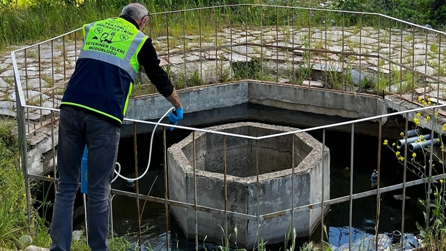 Süleymanpaşa Belediyesinden vektörlerle mücadele çalışması