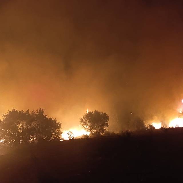 Manisa'da makilik alandaki yangın ormana sıçramadan kontrol altına alındı