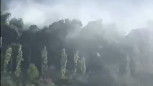 Seydikemer'de orman yangını