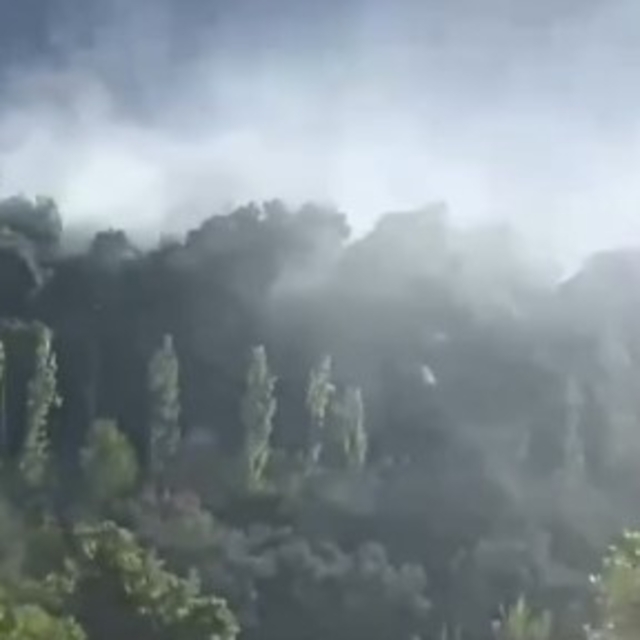Seydikemer'de orman yangını