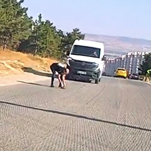 Bir yandan koştu, bir yandan diğer sürücüleri uyardı: Kaplumbağayı ezilmekt...