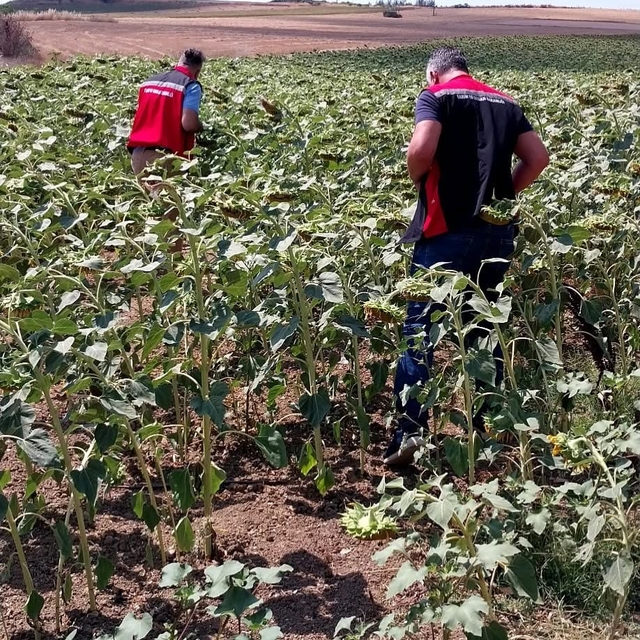 Tekirdağ'dan kısa kısa