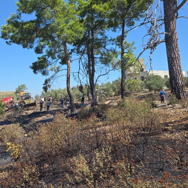 Manavgat'ta çıkan yangında 1 hektar ormanlık alan ile 2 hektar zeytinlik za...
