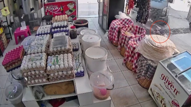Kamyonetin altında kalan 4 yaşındaki çocuk emekleyerek çıktı
Kargo kamyonetinin altında kalan çocuk şans eseri kurtuldu