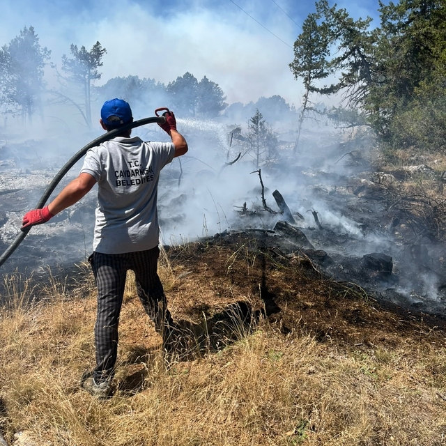 Kütahya'da orman yangını: Ekipler havadan ve karadan müdahale ediyor