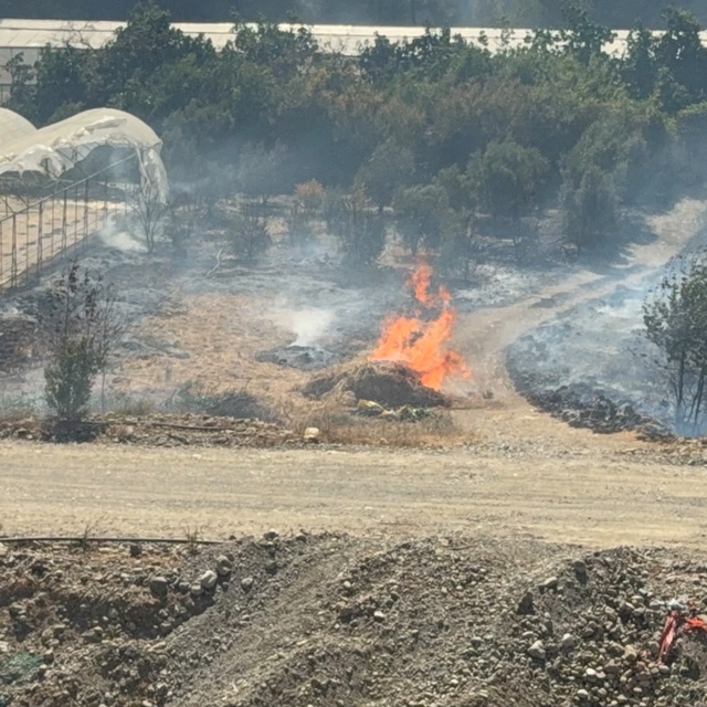 Antalya'da iki ayrı sera alanı ve bahçede çıkan yangında hasar oluştu