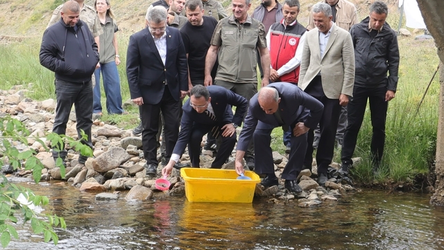 Ordu'da 35 bin doğal alabalık dereye bırakıldı