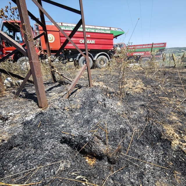 Bilecik'teki orman yangını kontrol altına alındı
İlk belirlemelere göre yan...