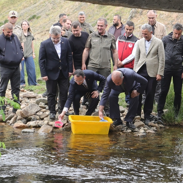 Ordu'da 35 bin doğal alabalık dereye bırakıldı