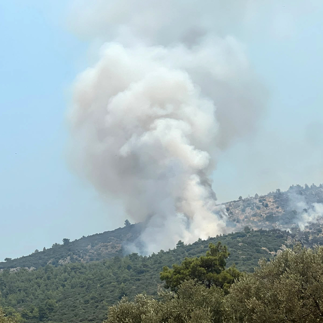 Antalya'daki orman yangınına müdahale ikinci günde de sürüyor (3)