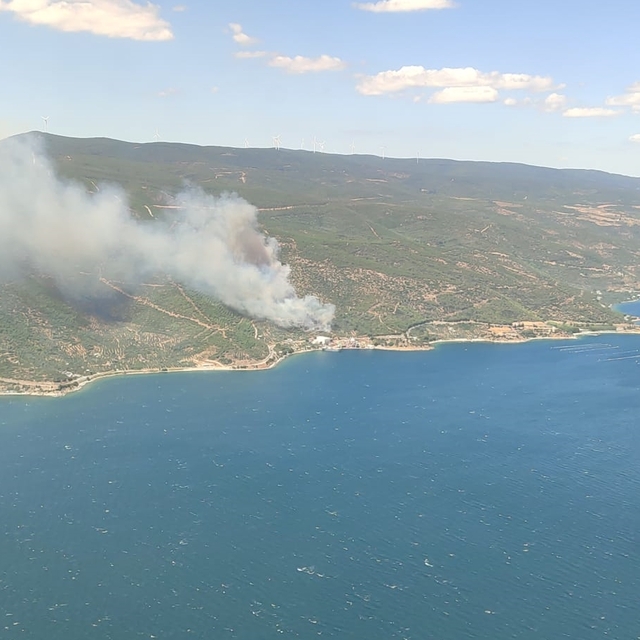 Yalova'da çıkan orman yangınına müdahale ediliyor