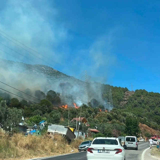 Yalova'da orman yangını