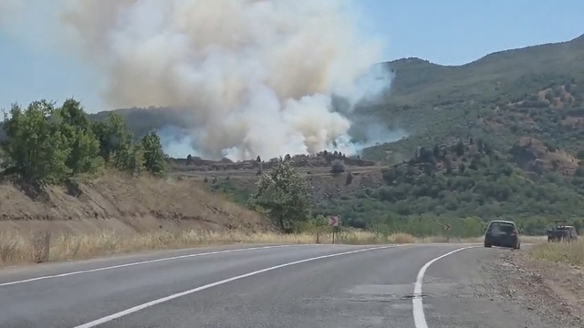 Domaniç'te tarlada başlayan yangın ormana sıçradı