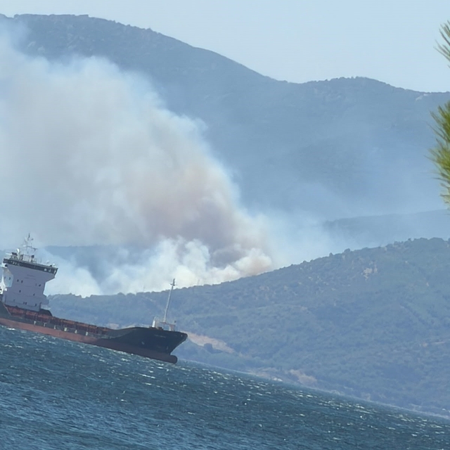Armutlu Kapaklı hattında orman yangını: Ekipler müdahaleye başladı