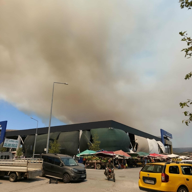 Gömeç'te ağaçlık alanda yangın