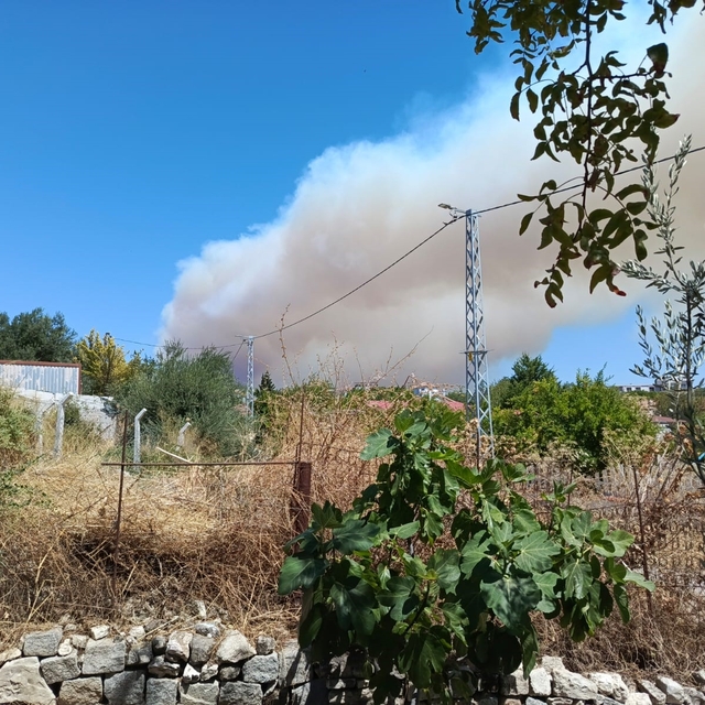 Gömeç'te orman yangını
Ekipler havadan ve karadan müdahale ediyor