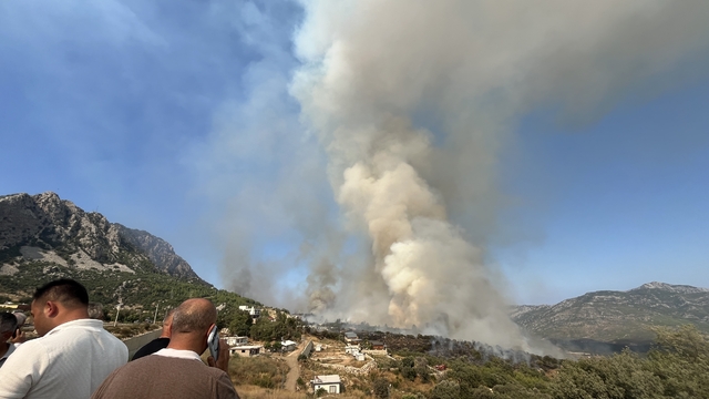Kumluca'daki orman yangınına ekiplerin müdahalesi devam ediyor
Sokak kedisi yangından kurtarıldı