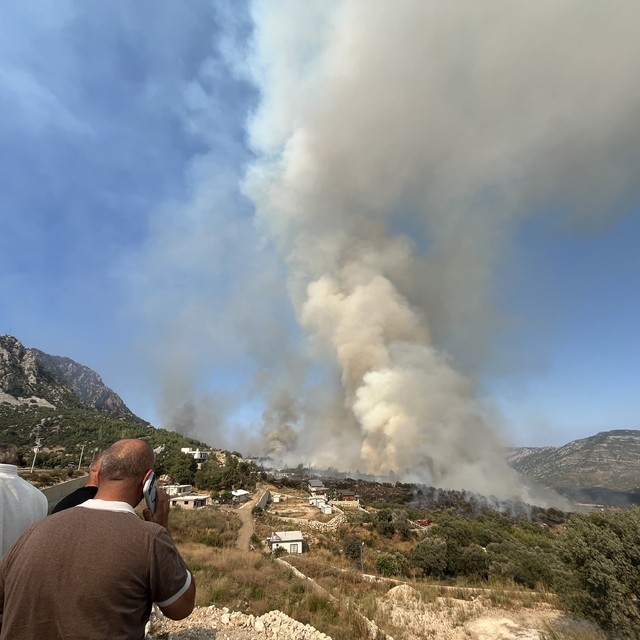 Kumluca'daki orman yangınına ekiplerin müdahalesi devam ediyor
Sokak kedisi...