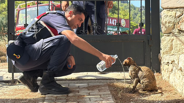 Kumluca'da orman yangını (4)