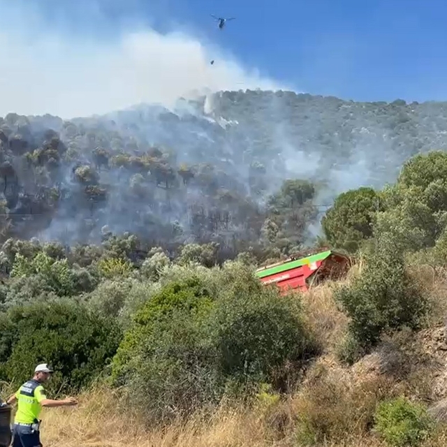 Yalova'da orman yangını (2)