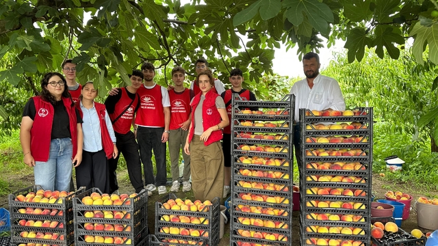 Çarşamba'da 'Gönüllü Hasat Etkinliği'