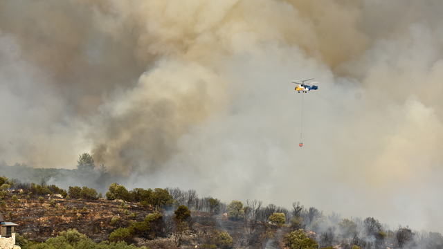 Galeri