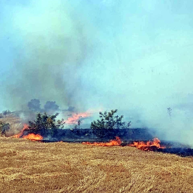 Balya bağlama makinesinden çıkan kıvılcımlar yangına neden oldu