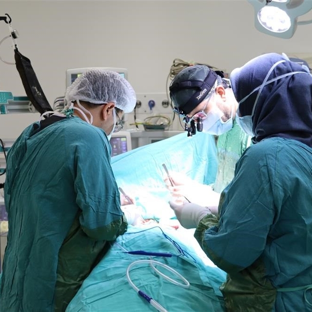 Sivas'ta lokal anastezi ile şahdamarı operasyonu
Sivas Numune Hastanesi'nde...
