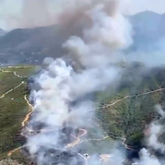 Alanya'da orman yangını
