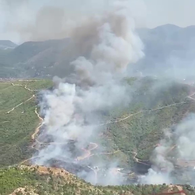 Alanya Sapadere Kanyonu'nda ormanlık alanda yangın