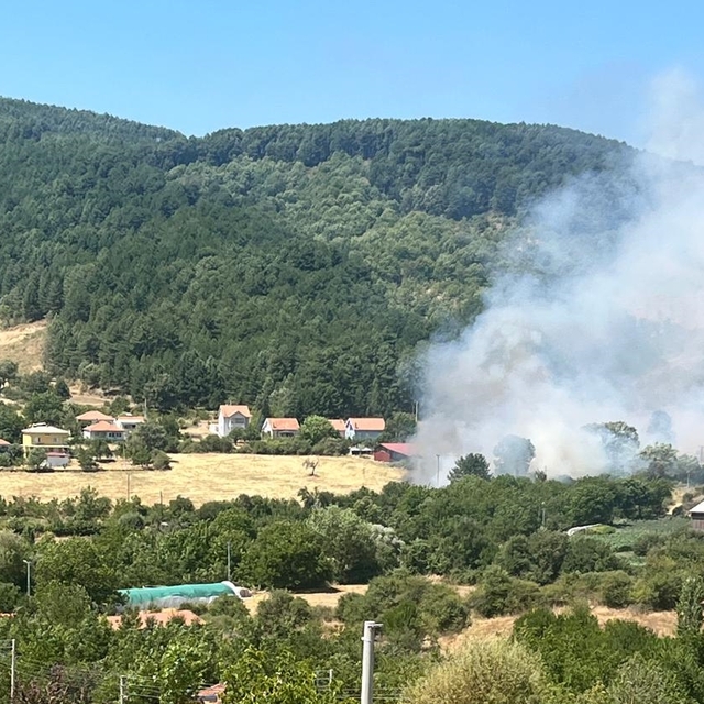 Aydın Kuyucak'ta zeytinlik alanda çıkan yangın kontrol altına alındı