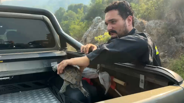 Kumluca'da orman yangını (6)