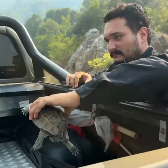Kumluca'da orman yangını (6)