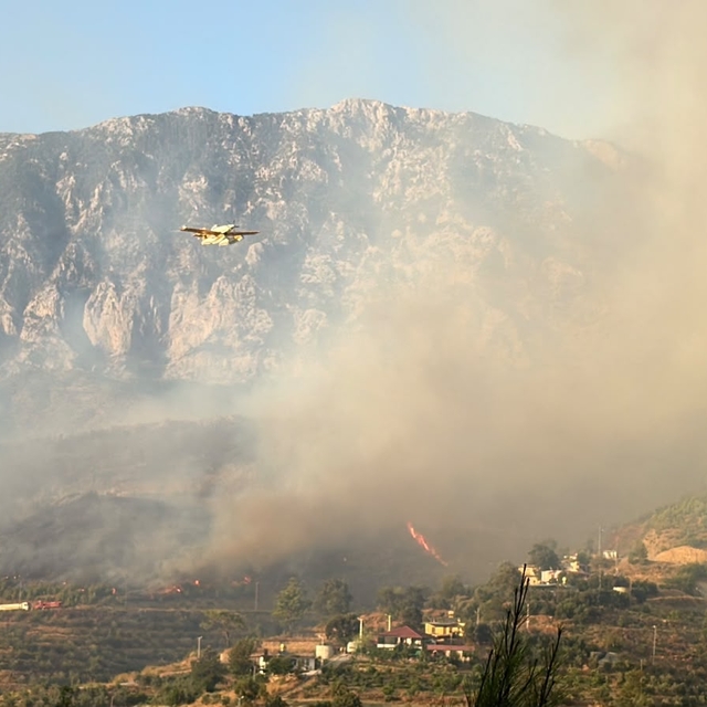 Antalya'da ormanlık alanda çıkan yangına müdahale ediliyor