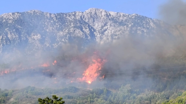 Alanya'da orman yangını (2)